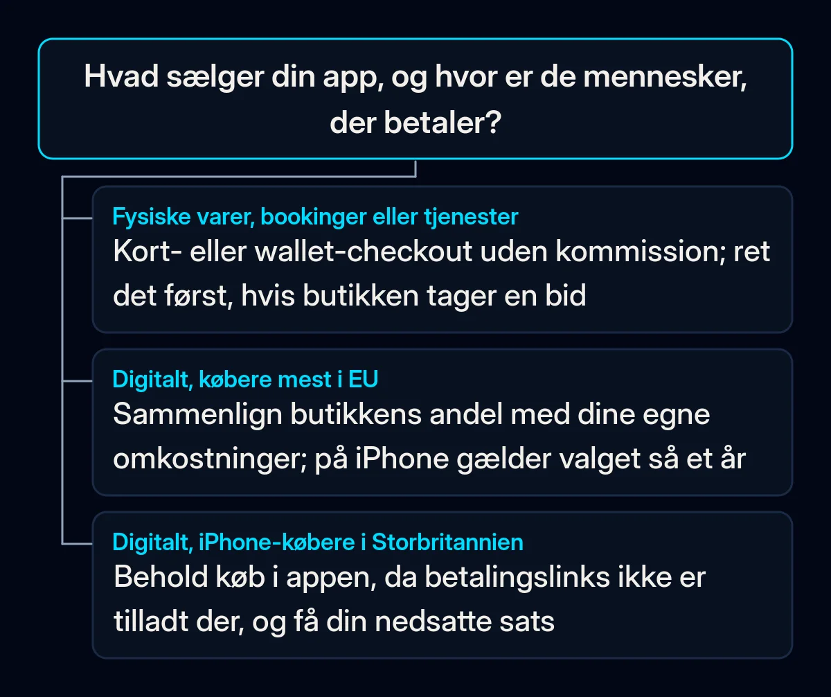 Beslutningstræ: hvad din app sælger, og hvor køberne er, afgør, om salg uden om app-butikken er værd at undersøge