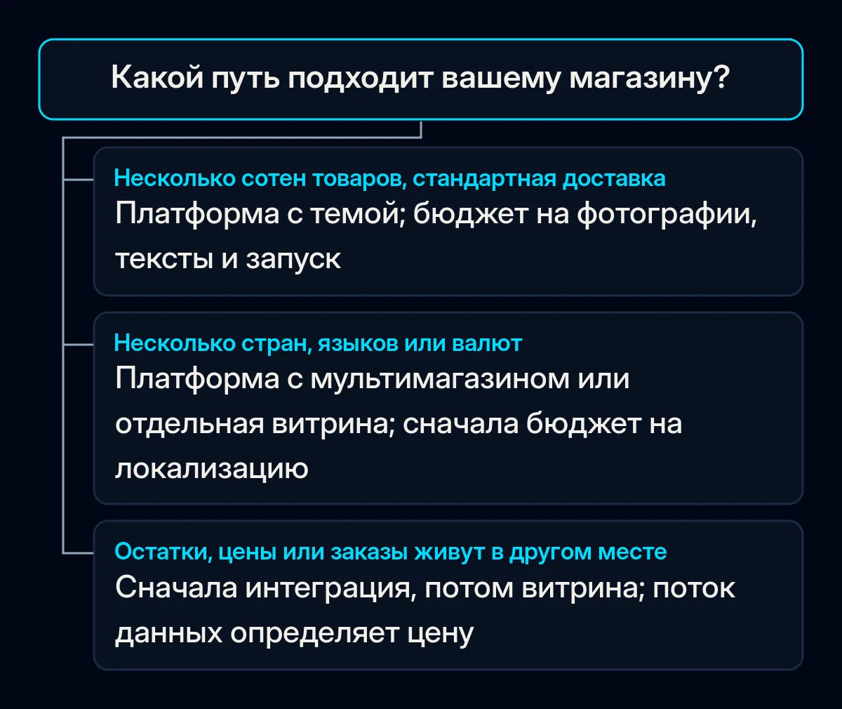 Дерево решений с одним вопросом, какой путь подходит вашему магазину, и тремя ответами, ведущими к платформе с темой, мультимагазину или разработке, начинающейся с интеграции