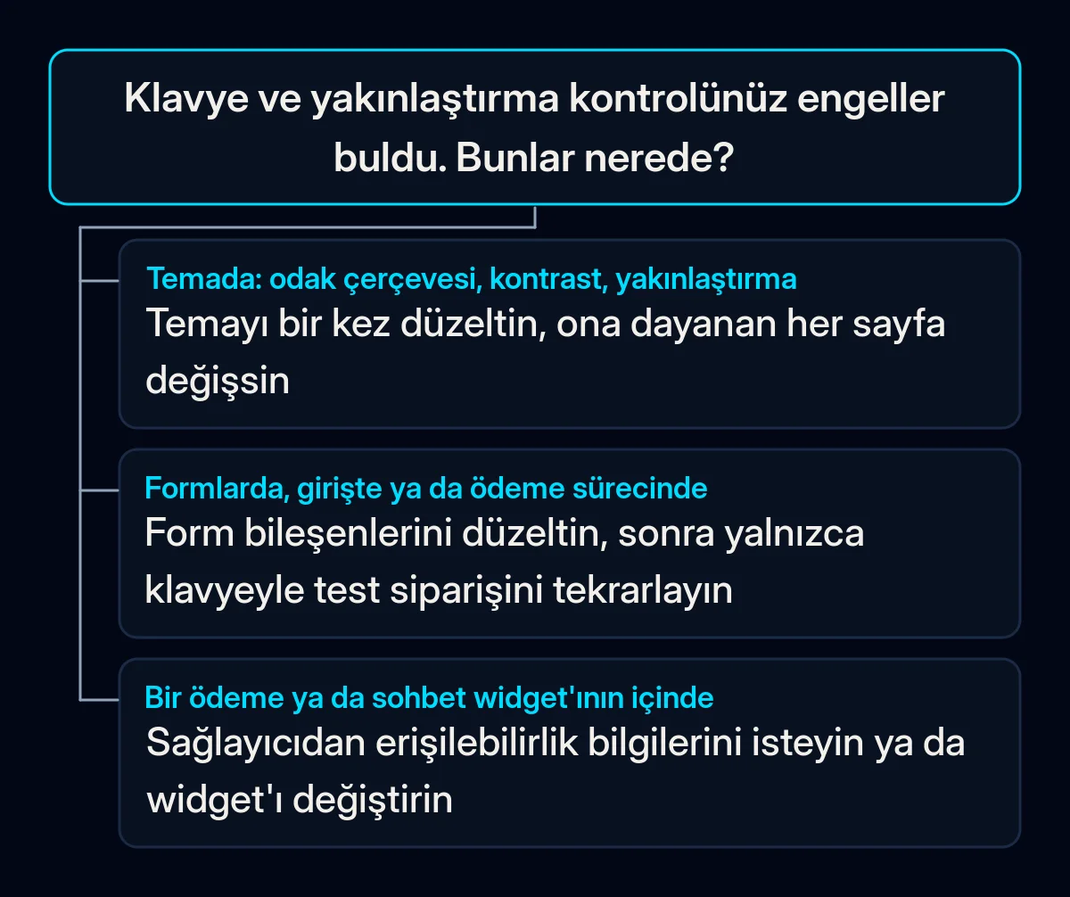 Kendi kendine kontrol sonuçları için karar ağacı: tema sorunları, form ve ödeme sorunları ya da bir sağlayıcı widget'ındaki sorunlar, her biri kendi düzeltmesiyle