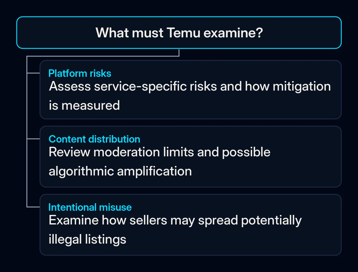 Temu's accepted plan groups platform risks, content controls and deliberate misuse by sellers.